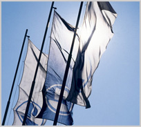 flags with Pliva logo